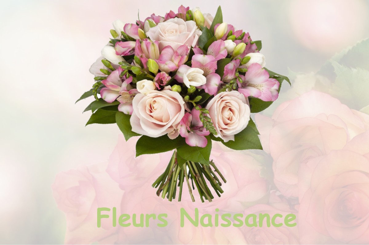 fleurs naissance ASNIERES-SUR-SEINE