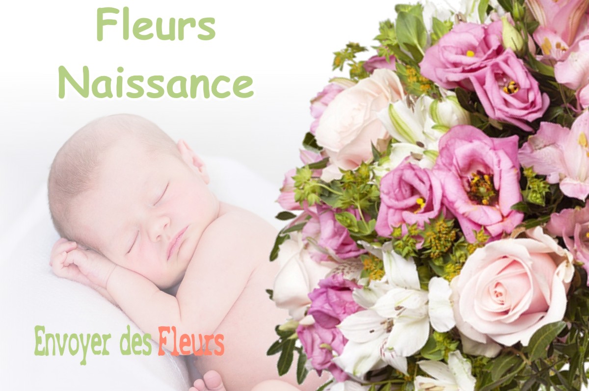 lIVRAISON FLEURS NAISSANCE à ASNIERES-SUR-SEINE